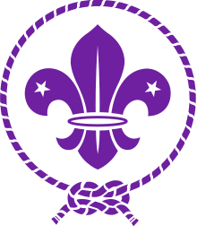 Nemzetközi cserkészliliom